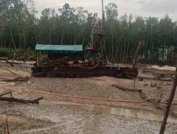 PONTON SILUMAN BEROPERASI LAGI DI HUTAN BAKAU