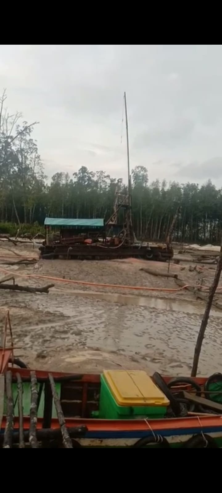 PONTON SILUMAN BEROPERASI LAGI DI HUTAN BAKAU