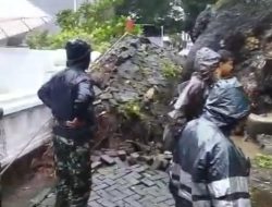 Pohon Besar Tumbang Akibat Hujan Disertai Angin Kencang.