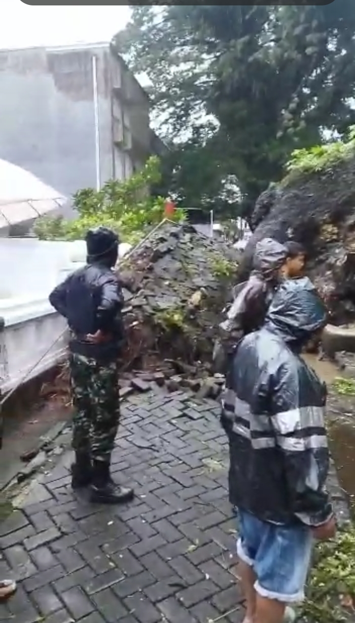 Pohon Besar Tumbang Akibat Hujan Disertai Angin Kencang.