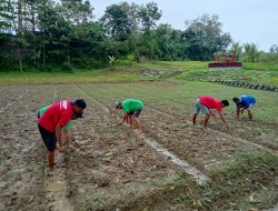 Jelang Tahun Baru, WBP Lapas Rangkasbitung Genjot Tanam Komoditas Jelang Tahun Baru, WBP Lapas Rangkasbitung Genjot Tanam Komoditas