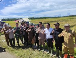 Bersama Forkopimda, Dandim 0601/Pandeglang Hadiri Kegiatan Panen Raya