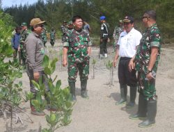 Tim Pokja Sahli Kasad Tinjau Pusat Rehabilitasi Hutan Mangroove Tim Pokja Sahli Kasad Tinjau Pusat Rehabilitasi Hutan Mangroove