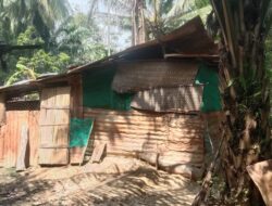 Dunia Mau Kiamat Dua Orang Anak Yatim Tinggal Di Gubuk Reit Luput Dari Perhatian Pemerintah