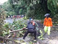 Berjibaku Ditengah Gerimis Hujan, Anggota Kodim 0601/Pandeglang Bantu Evakuasi Pohon Tumbang