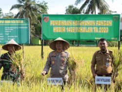 Kapolres Takalar Hadiri Giat Panen Raya Kodim 1426 Takalar