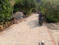 Diduga Proyek Siluman, Pembangunan Jalan Paving Blok Di Desa Cempaka Tidak Di Lengkapi Papan Proyek Informasi