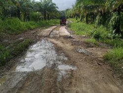 Pembangunan Proyek Pengerasan Jalan Desa Menuju Kampung Cikeusik Geblug Tahun Anggaran 2022 Terbengkalai