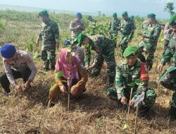 Kodim 0601/Pandeglang Ikuti Penanaman Mangrove Nasional secara serentak seluruh Indonesia