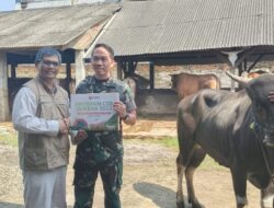 Kasi Intel Korem 064/MY Hadiri Penyerahan Hewan Kurban Secara Simbolis kepada Stakeholder Dari PLTU Jawa 7