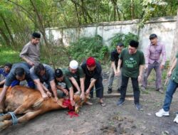 Serikat Karyawan Krakatau Steel Tebar 600 Paket Daging Qurban   