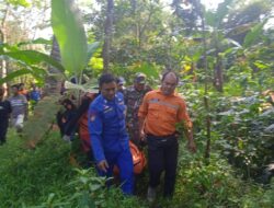 Korban Tewas Diterkam Buaya Berhasil Ditemukan, Anggota Koramil 0111/Pgl Bantu Evakuasi