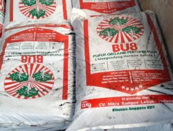 Perusahaan Pabrik Pupuk Merek CV MITRA KOMPOS LEBAK Di DugaTak Kantongi Izin ( ILEGAL )