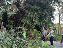 Satlantas Polres Lamtim Pangkas Dahan Pohon , Demi Kenyamanan Penguna Jalan