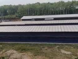 Warga Keluhkan Bau Menyengat Di Duga Dampak Dari Perusahaan Ternak Ayam Dekat Permukiman Warga