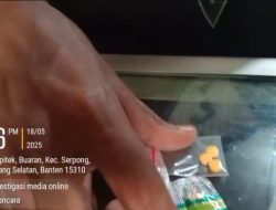 Peredaran Toko Obat Jenis G di Tangerang Selatan Makin Marak, Aparat Hukum Terlihat Mandul? Peredaran Toko Obat Jenis G di Tangerang Selatan Makin Marak, Aparat Hukum Terlihat Mandul?