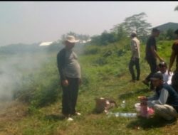 PROGRAM KETAPANG DESA NYOMPOK TAHUN 2025 PLAKSANAAN TANAM TIMUN*