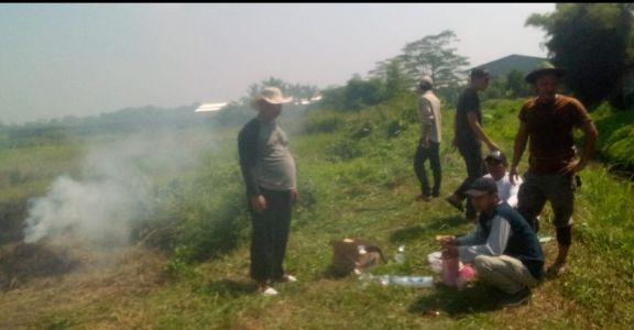 PROGRAM KETAPANG DESA NYOMPOK TAHUN 2025 PLAKSANAAN TANAM TIMUN*