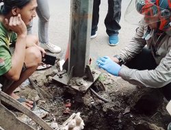 Soal Fenomena Tanah Bau dan Berasap, DLHK Sidak Bawa Sarung Tangan Soal Fenomena Tanah Bau dan Berasap, DLHK Sidak Bawa Sarung Tangan