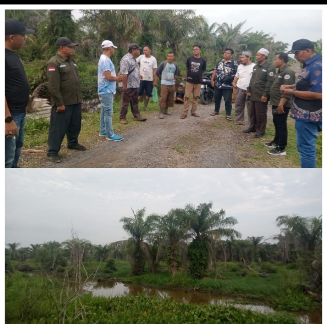 Lahan Masyarakat Tani yang Terkena Dampak Banjir Oleh PT.INTIN PALM SUMATRA Ketum HMTN-MP Menugaskan Ketua Satgasnas HMTN-MP Kunjungi Petani