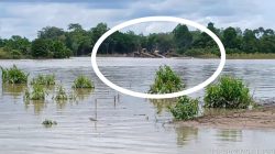 Warga Tagih Janji, Aparat dan Pemda Kapuas Hulu Siap Tindak PETI