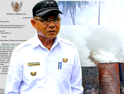 IWO Indonesia Apresiasi Sikap Cepat Pemda Simeulue Tertibkan Usaha Ilegal Arang di Badegong dan Baturalang