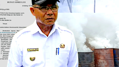 IWO Indonesia Apresiasi Sikap Cepat Pemda Simeulue Tertibkan Usaha Ilegal Arang di Badegong dan Baturalang