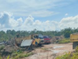 Tambang Pasir Di Duga Ilegal Kembali Beroperasi Di Wilayah Galangbatang  Bintan