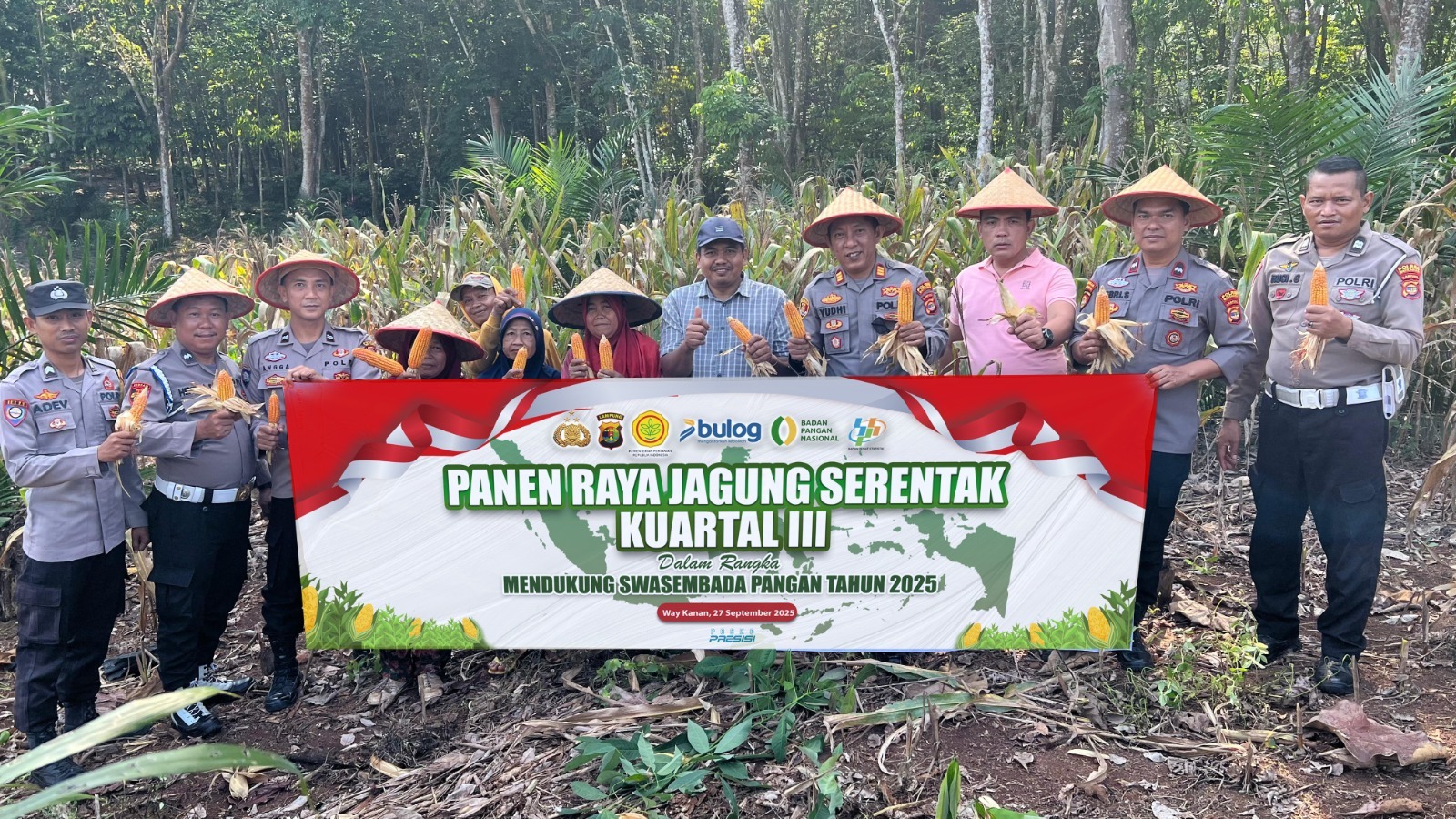 Polsek Blambangan Umpu Panen Jagung Serentak Kuartal III di Tanjung Mas