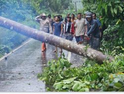 Kapolsek Ranto Peureulak Bersama Warga Evakuasi Pohon Tumbang Yang Menimpa Kabel Listrik di Seumanah Jaya