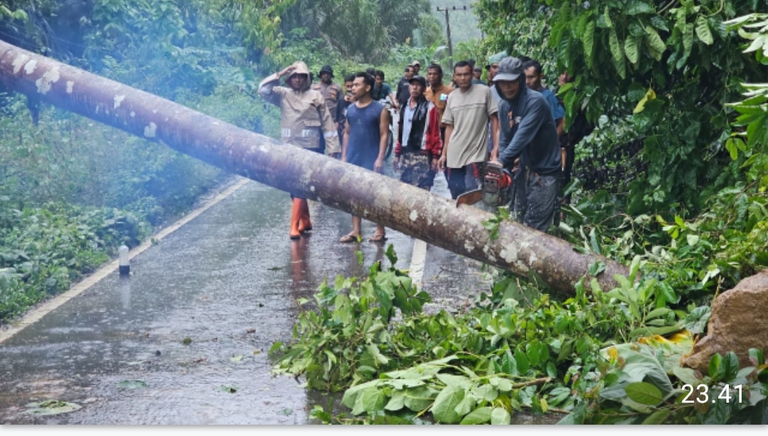 Kapolsek Ranto Peureulak Bersama Warga Evakuasi Pohon Tumbang Yang Menimpa Kabel Listrik di Seumanah Jaya