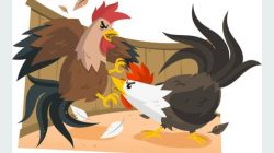 Tempat Perjudian Sabung Ayam di kampung Pasir Laban Di Duga Jadi Lahan Usaha Para Oknum Yang Tida Bertanggung Jawab