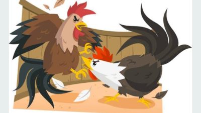 Tempat Perjudian Sabung Ayam di kampung Pasir Laban Di Duga Jadi Lahan Usaha Para Oknum Yang Tida Bertanggung Jawab