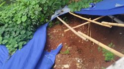 Bunda Endah Tinjau Lokasi Longsor Cisalak, Minta Penanganan Dipercepat