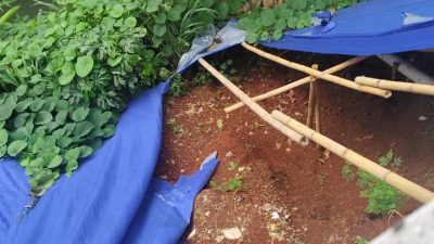 Bunda Endah Tinjau Lokasi Longsor Cisalak, Minta Penanganan Dipercepat