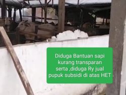 Masyarakat Resah Terhadap Kios Penjualan Pupuk Bersubsidi di Atas Harga HET Berharap Menteri Menindak Yang Melanggar Aturan