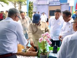 Presiden Dorong Hilirisasi Gambir, PTPN Group Siap Perkuat Nilai Tambah Komoditas Rakyat