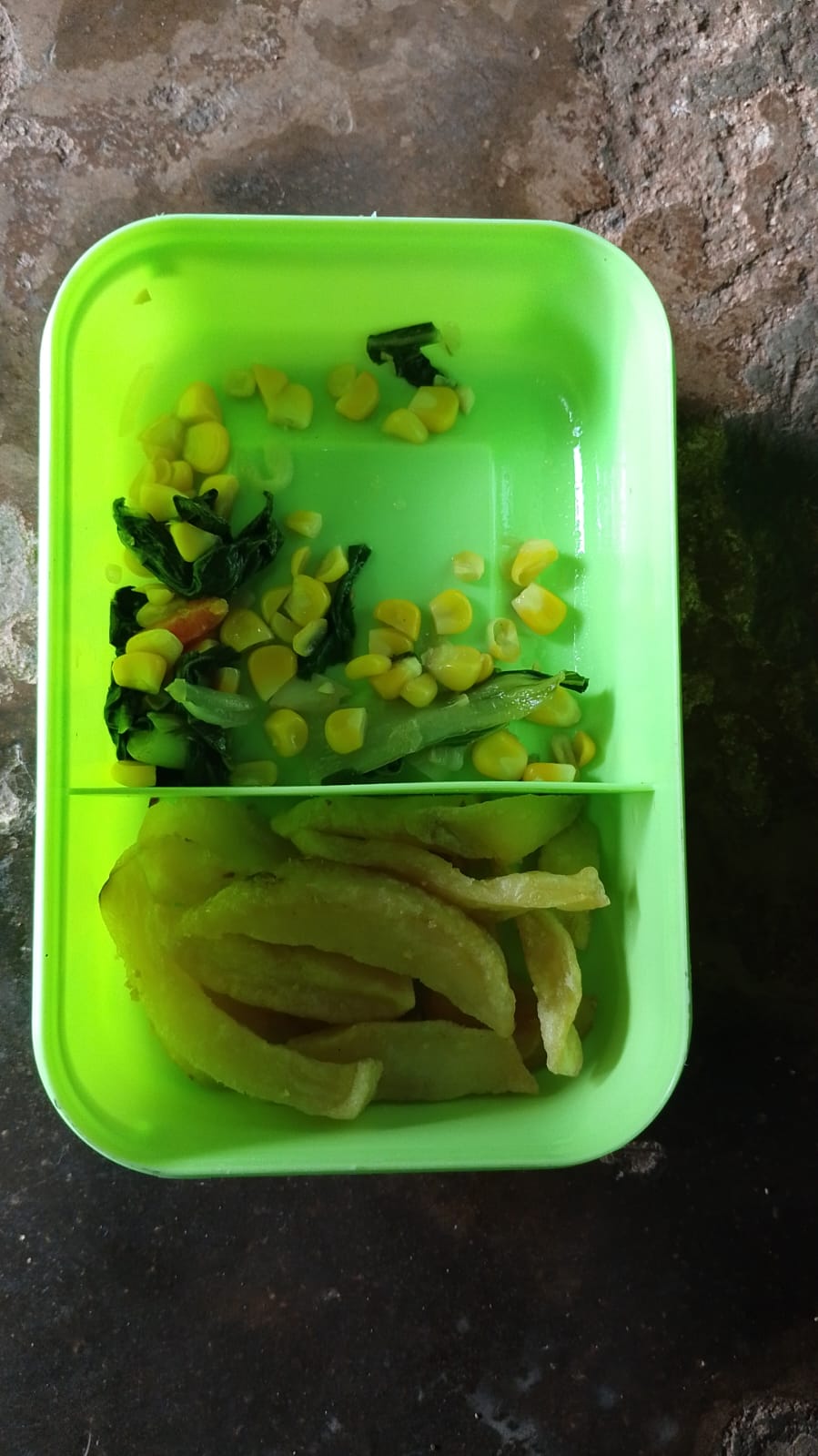 skandal MBG di desa sumberjo Lampung Timur di nilai kurang memenuhi SOP layak nya seperti program Badan gizi Nasional